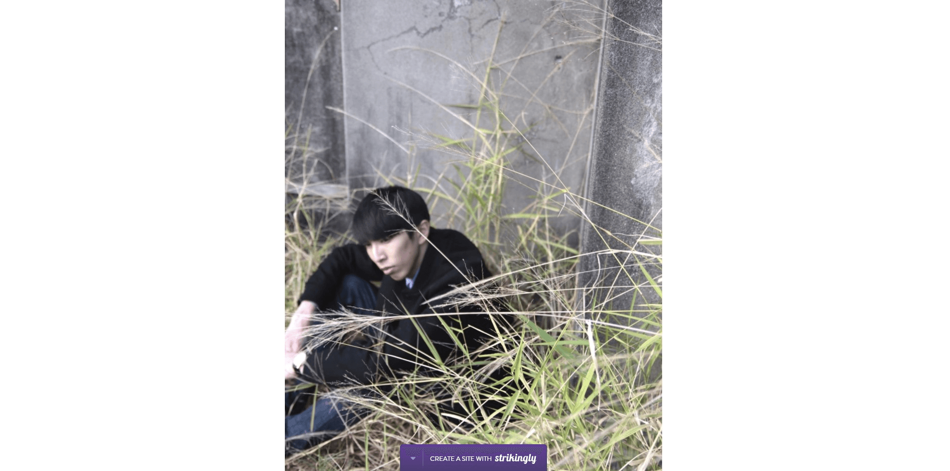 品牌推廣本地業務 品牌推廣本地業務